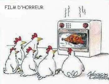 best film to chicken